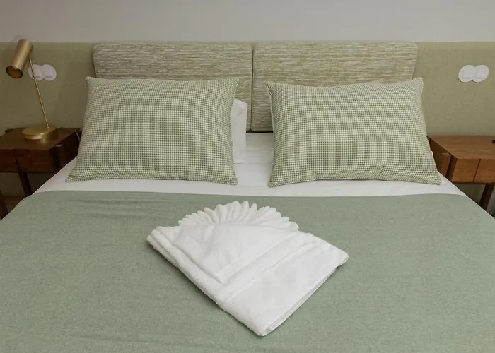 Quinta Alto Do Rio * Cinfães